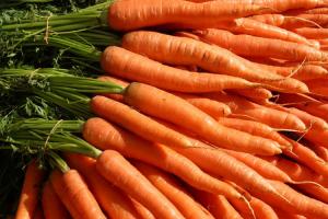На Вінниччині оформили першу аграрну розписку на моркву