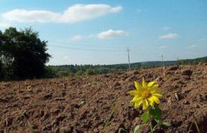 В Україні розпочне діяти оновлений порядок земельного кадастру 