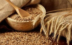 Україна зменшила експорт зернових на 10%, — Держпродспоживслужба 