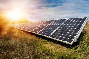 На Житомирщині будують першу екоферму з сонячною електростанцією