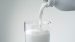 Об’єм фальсифікованої молочної продукції в Україні сягає 30%
