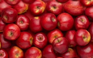 Переробників звинуватили у змові щодо закупівельних цін на яблука