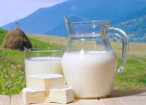 Конкурентоздатність української молочної продукції в світі знизилися на 7-8%