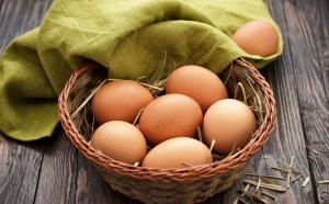 У 2018 році експорт вітчизняних яєць зріс на 23%