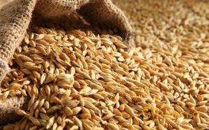Аграрії зібрали 67,6 млн тонн зерна