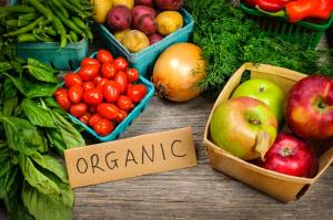 В Україні збільшилася кількість виробників органічної сільськогосподарської продукції