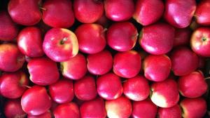 Україна – регіональний лідер щодо зростання цін на яблука