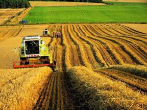 Україні потрібна Стратегія розвитку аграрного сектору, – експерт 