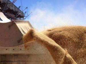Експорт зернових перевищив 23 млн т