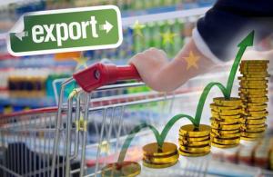 Україна почала застосовувати Конвенцію Пан-Євро-Мед, яка збільшить експорт в ЄС