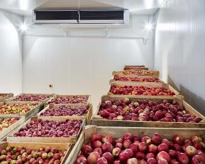 На Дніпропетровщині будують найбільший в Україні холодильний комплекс для зберігання яблук