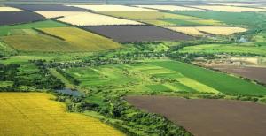 Мораторій на землю погіршує інвестиційний клімат в Україні, – експерт 