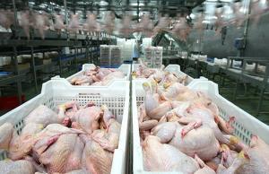 Місія ЄС перевірить українських виробників м’яса птиці