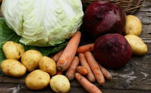 Аграрії масово скуповують насіння моркви та цибулі