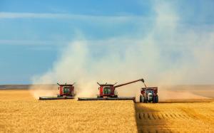 Україна втрачає 1,6 млрд грн щороку через неефективність державних агропідприємств