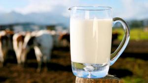 На Вінниччині відкривають новий молочний завод