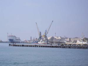 В порту «Рені» відновлять будівництво зерноскладу та заводу з переробки олійних