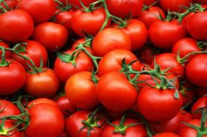 На Київщині виявили партію заражених іспанських томатів