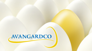 «Авангард» отримав сертифікат відповідності Halal на яйця власного виробництва