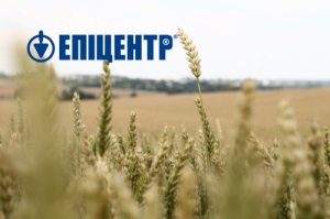 Антимонопольний комітет дозволив «Агрохолдингу 2012» придбати активи «Оболоні»