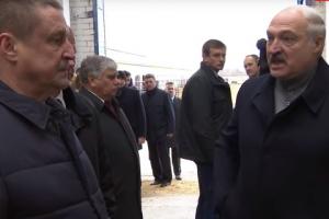 Лукашенко звинуватив агрохолдинг у «Освенцимі» для корів