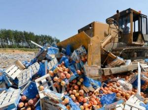 За рік в Україні утилізували понад 30 тис. т небезпечних продуктів
