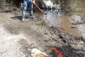 Через хімікати, які потрапили у річку Рось, на Вінниччині заборонили пити воду із колодязів