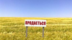 В Україні необхідно впроваджувати ринок одразу для всіх земель, – Світовий банк
