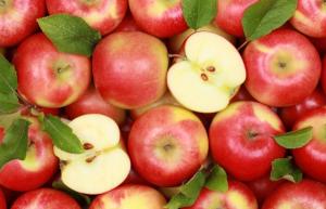 Близький Схід стає головним ринком збуту для українського яблука