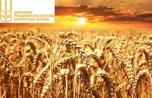 Кабмін призначив нового главу правління Державної зернової корпорації