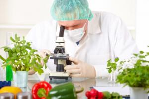 Змінилися методи відбору зразків для визначення рівня мікотоксинів у харчових продуктах під час держконтролю
