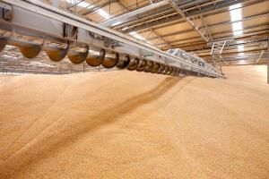 ДПЗКУ прийняла на зберігання перші 500 тис. т зерна