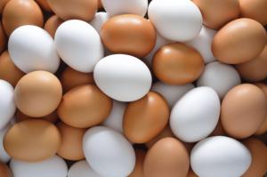 В Україні зросло виробництво яєць 