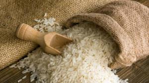 Україна має всі можливості для нарощування виробництва рису, – Шеремета