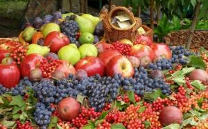 Держпродспоживслужба веде переговори щодо відновлення експорту українських фруктів та овочів до ЄС