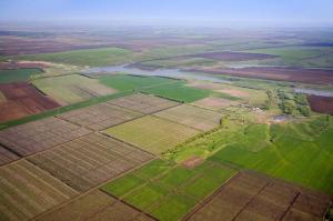 Аграрій назвав основні ризики відкриття ринку землі в Україні