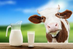 Україна скоротила виручку від експорту молочки на третину
