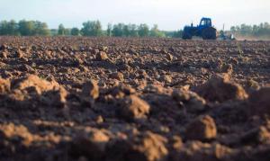 В Україні реалізовано прав оренди на сільгоспземлю на 12 млн грн