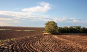 Три важливі аспекти для запуску чесного ринку землі – Кабмін 