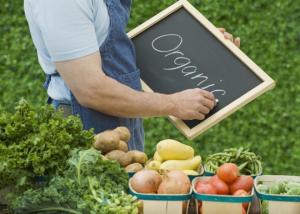 Держпродспоживслужба розробила методичні рекомендації до маркування органічних харчових продуктів і кормів