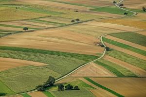 Аграрії вимагають проведення референдуму про ринок землі