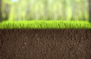 Систему моніторингу стану ґрунтів в Україні буде запущено до травня 2020 року