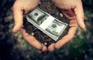 Земельна реформа принесе в бюджет близько $20 млрд – експерт 