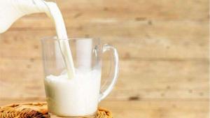 До 2030 року кількість сільгосппідприємств, які вироблятимуть молоко, скоротиться на 40%
