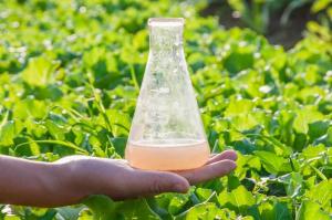 В Україні ініціюють зміни умов використання пестицидів та агрохімікатів — законопроект