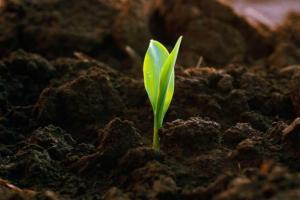 Аграріям пропонують досліджувати ґрунт для прогнозування урожаїв