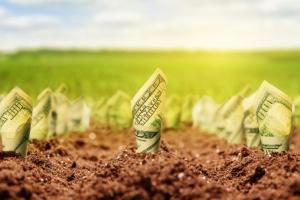 Ринок землі в Україні: в уряді назвали ліміт кредиту для фермерських господарств