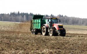 Цьогорічні посіви пшениці в Україні можуть стати найменшими за останні 7 років