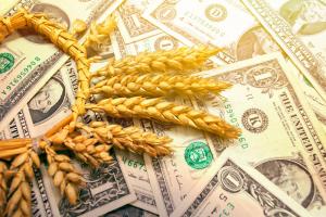 З України в офшорні зони вивели $1,5 млрд прибутків від вітчизняного експорту зерна