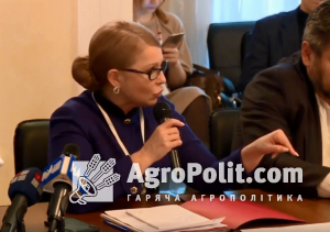 Голосування за законопроект про ринок землі відбудеться вже наступного четверга, — Юлія Тимошенко